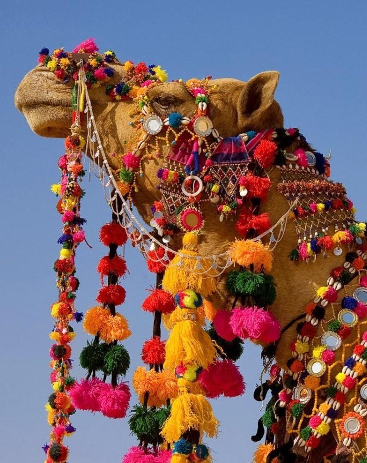 colourful Rajasthan